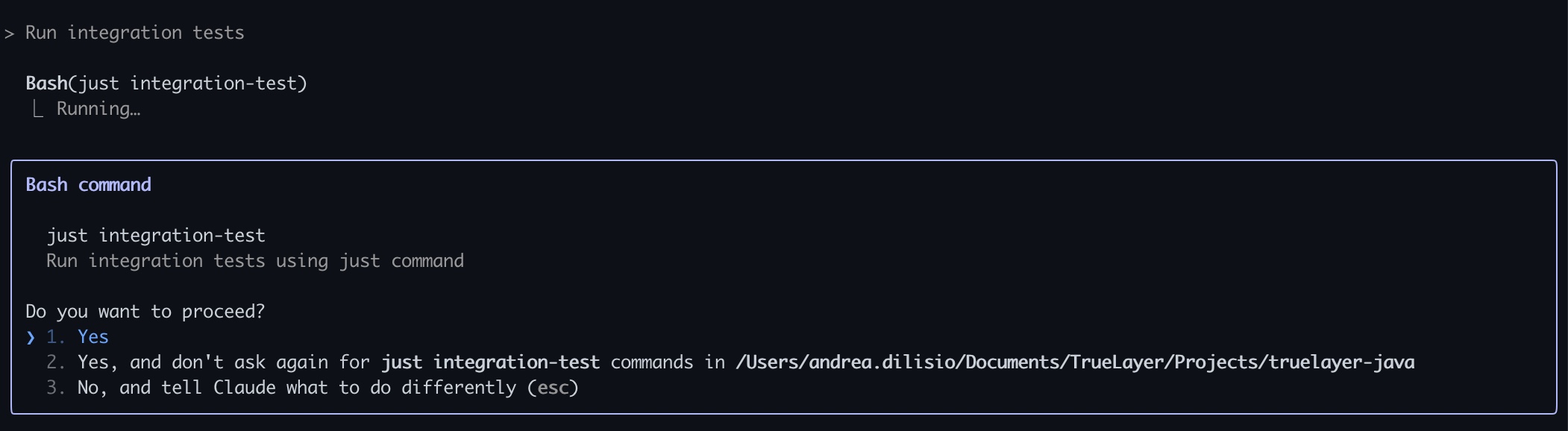 Claude Code interface